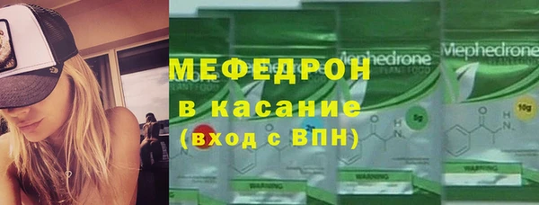 шишки Няндома