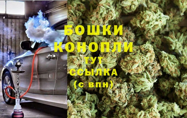 шишки Няндома