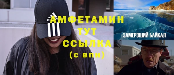 шишки Няндома