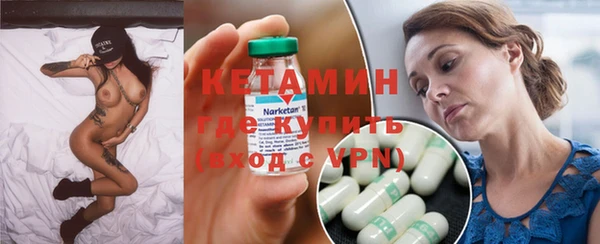 шишки Няндома
