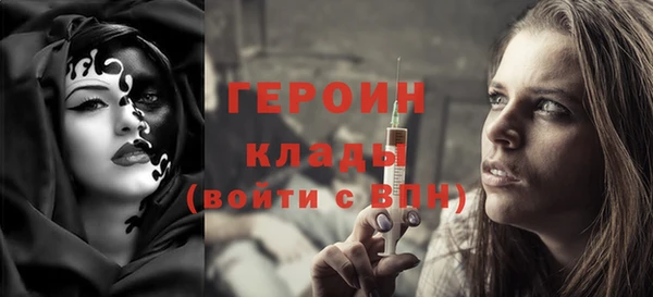 шишки Няндома