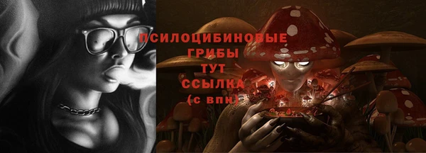 мяу мяу мука Билибино