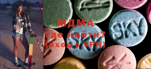 шишки Няндома
