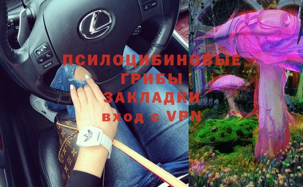 шишки Няндома