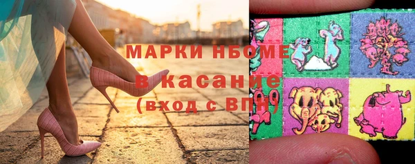 шишки Няндома