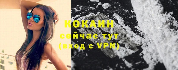 шишки Няндома