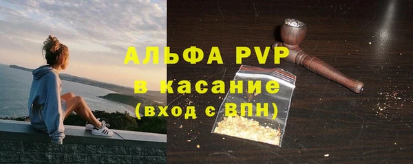 шишки Няндома