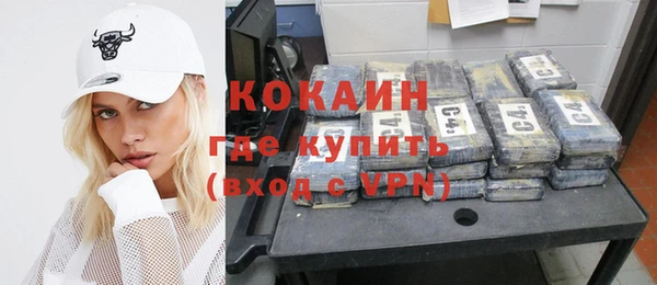 шишки Няндома