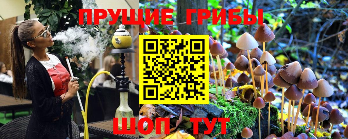Псилоцибиновые грибы GOLDEN TEACHER Улан-Удэ
